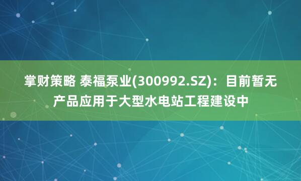 掌财策略 泰福泵业(300992.SZ)：目前暂无产品应用于大型水电站工程建设中