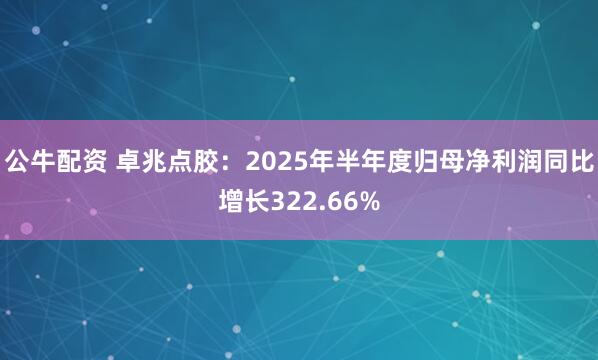 公牛配资 卓兆点胶：2025年半年度归母净利润同比增长322.66%